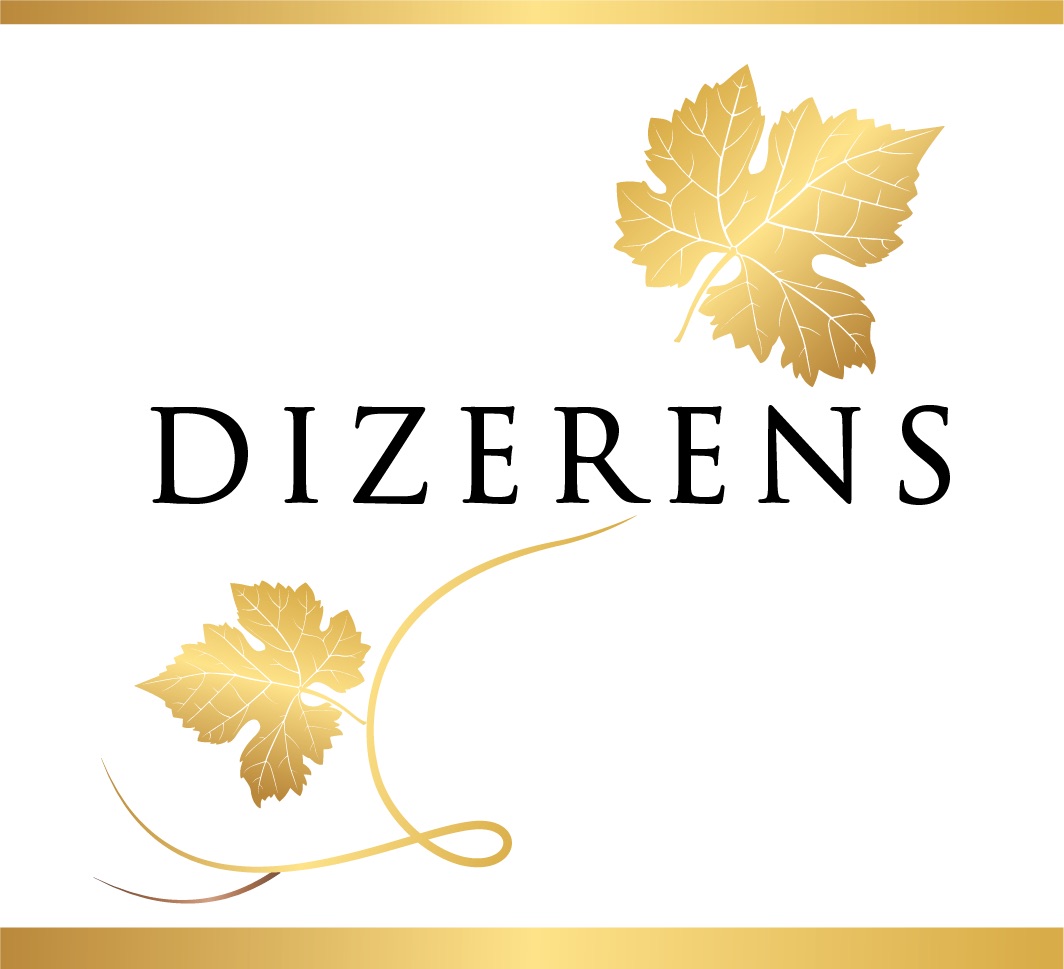 Logo Dizerens